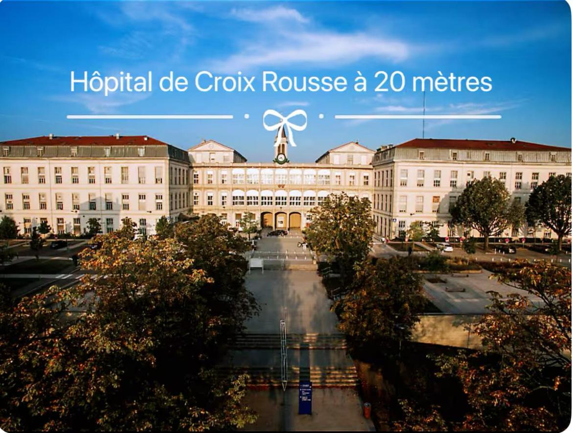 Art De Recevoir - L'Ecrin De Margnolles - Croix Rousse - Metro C-Cuire Caluire-et-Cuire Eksteriør bilde
